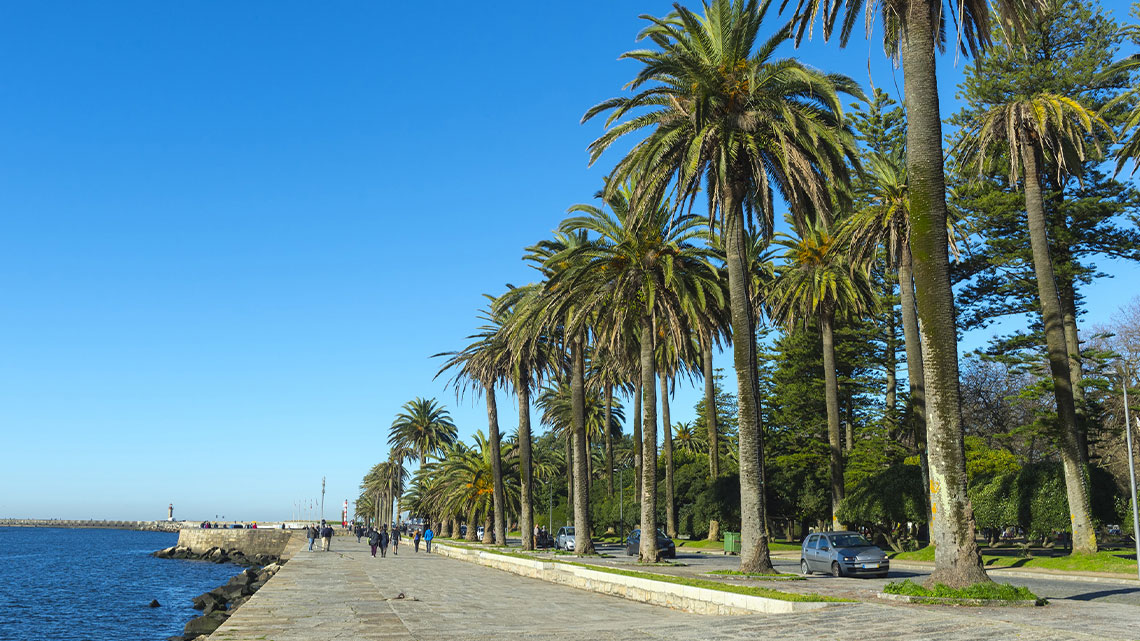 Passear pela Foz do Douro