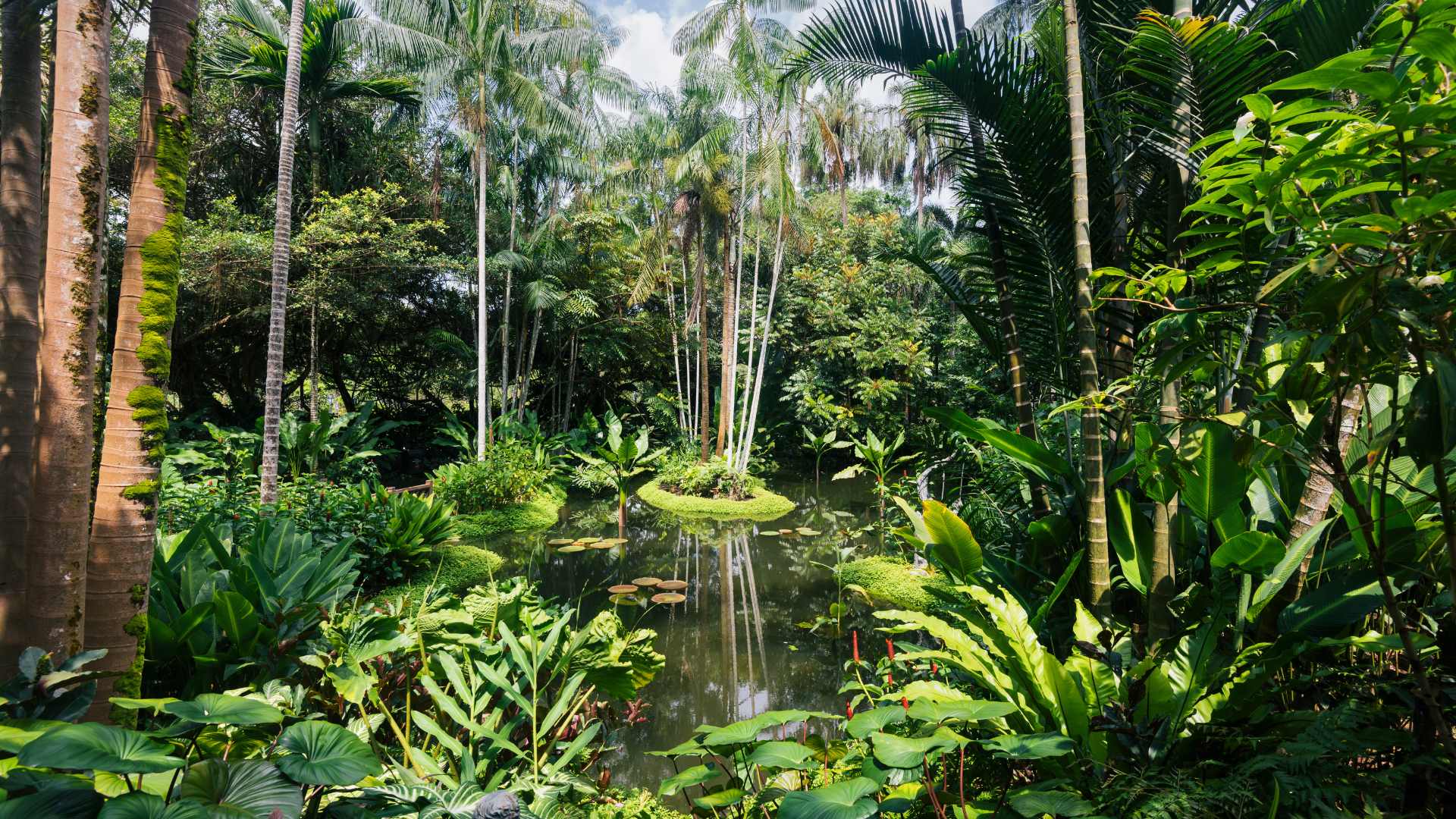 Jardim Botânico de Lisboa
