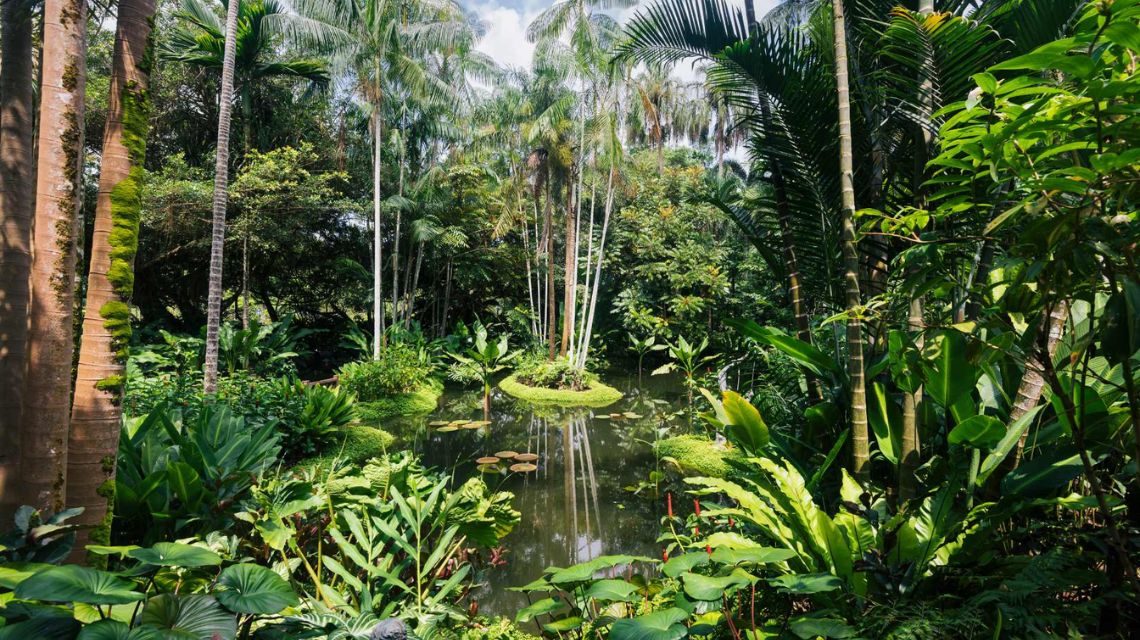 hf hotels lisboa jardim botanico