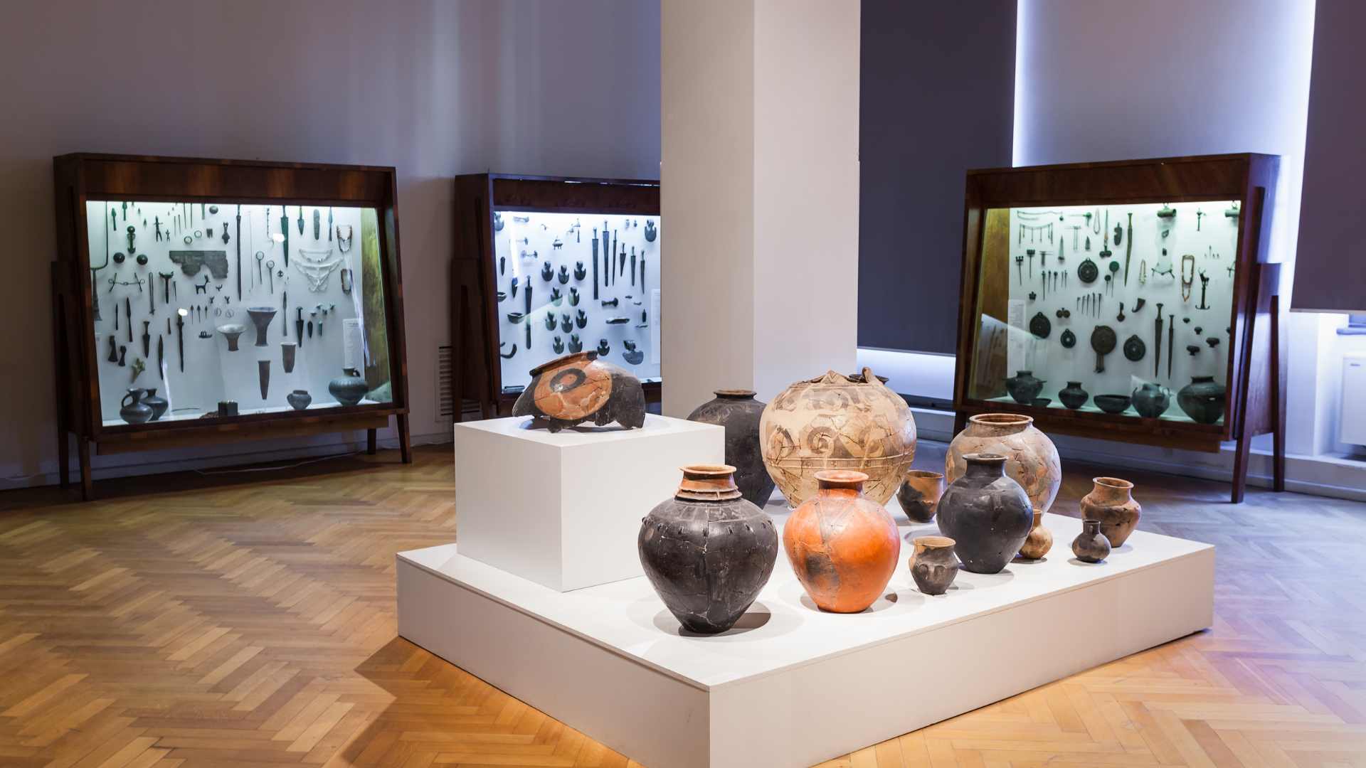 Museu Nacional de História Natural e da Ciência