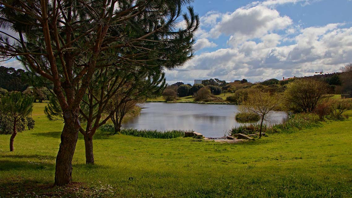 hf hotels largo pena ventosa porto