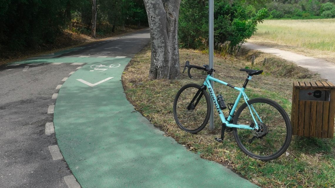 Passeio no Parque Florestal de Monsanto