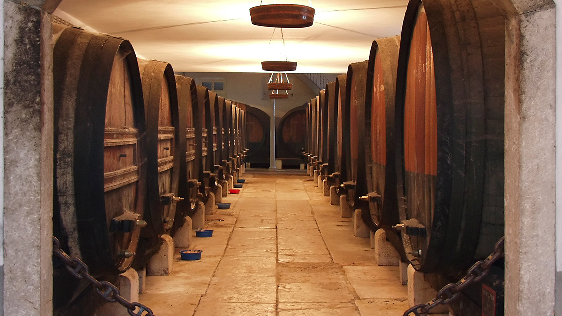 Degustação nas Caves de Vinho do Porto