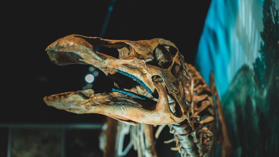 Museu Nacional de História Natural e da Ciência