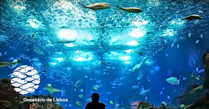 Lisbon’s Oceanarium