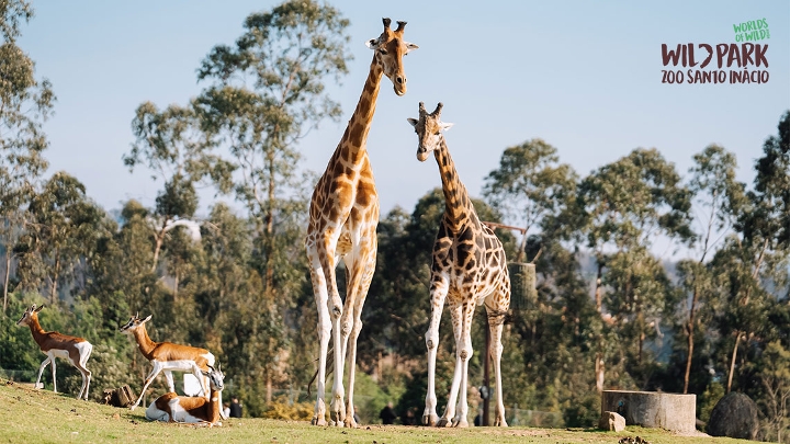Zoo Santo Inácio